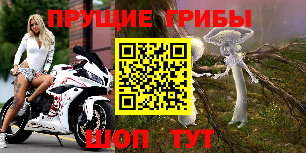 Малгобек  Галлюциногенные грибы MAGIC MUSHROOMS  Вход с VPN  наркошоп  Псилоцибиновые грибы Psilocybine cubensis 